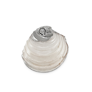 Anh&auml;nger Muschel Special Mussel Creamy white-silver