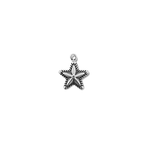 Anh&auml;nger aus Stainless Steel - Rostfreiem Star Silver