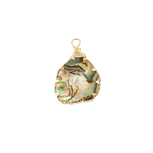 Anh&auml;nger aus Resin with Imitation Shell Irregular Gold-ocean green