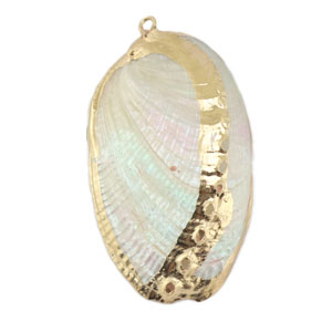 Anh&auml;nger Muschel Special Mussel Pearl-gold