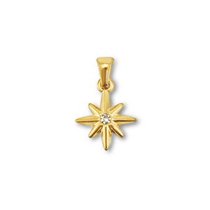 Anh&auml;nger aus Stainless Steel - Rostfreiem Stahl Star Gold