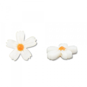 Perle Muschel Flower White (Naturliche Farbe Muschel)-orange