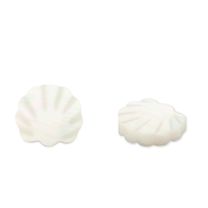 Perle Muschel Scallop White (Naturliche Farbe Muschel)