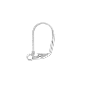 Zubeh&ouml;r aus Stainless Steel - Rostfreiem Stahl Ohrh&auml;nger verschliessbar with Loop Silver