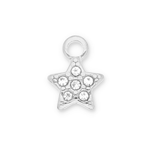 Anh&auml;nger aus Stainless Steel - Rostfreiem Stahl Star with Strass Silver-transparent