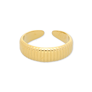 Stainless Steel - Rostfrei Stahl Ringe with Lines Gold