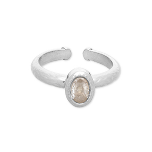 Stainless Steel - Rostfrei Stahl Ringe Silver-transparent
