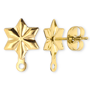 Zubeh&ouml;r aus Stainless Steel - Rostfreiem Stahl Ohrringe / Ohrstecker Star with Loop Gold