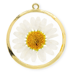 Getrocknete Blumen Anh&auml;nger 34 mm Gold-white-soft orange