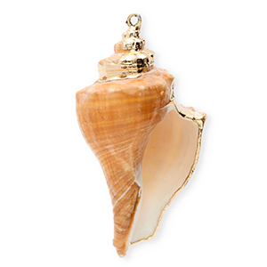 Anh&auml;nger Muschel Special Whelk Copper brown-gold