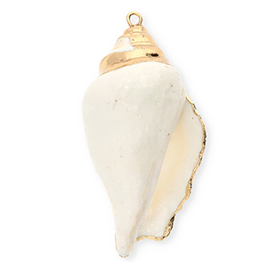 Anh&auml;nger Muschel Special Whelk White-gold