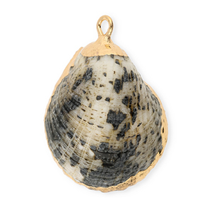 Anh&auml;nger Muschel Special Grey-gold