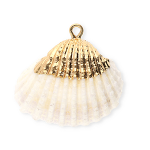 Anh&auml;nger Muschel Special Cockles Creamy white-gold
