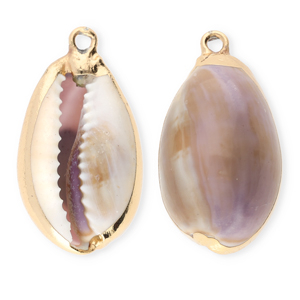Anh&auml;nger Muschel Special Kauri Purple-brown-gold