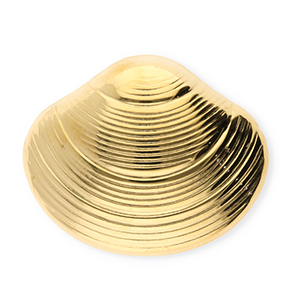 Statement Broschen aus Stainless Steel - Rostfreiem Stahl Shell Gold