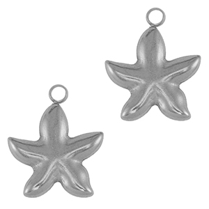 Anh&auml;nger aus Stainless Steel - Rostfreiem Starfish Silver