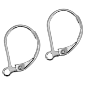 Stainless Steel - Rostfrei Stahl Ohrringe Ohrh&auml;nger verschliessbar Silber