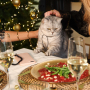 Inspirationen, um trendigen Schmuck f&uuml;r ein gl&auml;nzendes Weihnachtsfest zu basteln