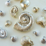 Sealife-Designs: Frische Impulse f&uuml;r sommerlichen Schmuck